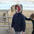 Harry McGap Face, A Return to the Beach, Southwold, Suffolk - 20th December 2020