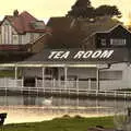 A lone swan floats around by the tea rooms, A Return to the Beach, Southwold, Suffolk - 20th December 2020