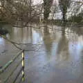 The Waveney has predictably flooded near the Lows, The Christmas Eve Floods, Diss, Norfolk - 24th December 2020