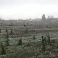 The 100-acre field is being left fallow, A Virtual New Year's Eve, Brome, Suffolk - 31st December 2020