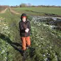 Fred makes a big snowball, Winter Lockdown Walks, Thrandeston and Brome, Suffolk - 24th January 2021