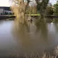 The pond in Thrandeston Little Green, Winter Lockdown Walks, Thrandeston and Brome, Suffolk - 24th January 2021