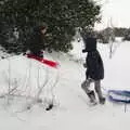 The boys scoot down the small hill in the garden, Beast From The East Two - The Sequel, Brome, Suffolk - 8th February 2021