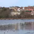 Some construction occurs by the Mere, Derelict Infants School and Ice Sculptures, Diss and Palgrave, Norfolk and Suffolk - 13th February 2021