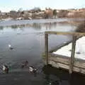 The water level on the Mere is still high, Derelict Infants School and Ice Sculptures, Diss and Palgrave, Norfolk and Suffolk - 13th February 2021