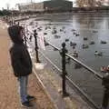 Fred looks out at the ducks, Derelict Infants School and Ice Sculptures, Diss and Palgrave, Norfolk and Suffolk - 13th February 2021