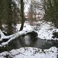 A small wood and pond on Rectory Road, Derelict Infants School and Ice Sculptures, Diss and Palgrave, Norfolk and Suffolk - 13th February 2021