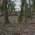 More brick constructions, The Old Sewage Works, The Avenue, Brome, Suffolk - 20th February 2021