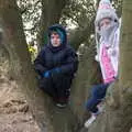 Harry's up a tree, A Trip to Dunwich Beach, Dunwich, Suffolk - 2nd April 2021