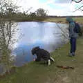 Fred puts his leaf boat out to sea, A Return to Ickworth House, Horringer, Suffolk - 11th April 2021