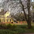 Blossom is out by the Oaksmere, BSCC Beer Garden Hypothermia, Hoxne and Brome, Suffolk - 22nd April 2021