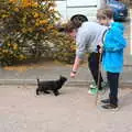 We met a friendly invisible cat in the car park, A Vaccination Afternoon, Swaffham, Norfolk - 9th May 2021