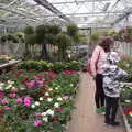 Isobel and Harry in Diss Garden Centre, Garden Centres, and Hamish Visits, Brome, Suffolk - 28th May 2021