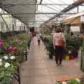 Harry wanders off, Garden Centres, and Hamish Visits, Brome, Suffolk - 28th May 2021