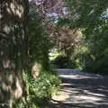 The road to Throwleigh, A Trip to Grandma J's, Spreyton, Devon - 2nd June 2021