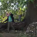 The boys climb around a tree, A Weekend at the Angel Hotel, Bury St. Edmunds, Suffolk - 5th June 2021