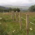 Philly's new fence, Pints of Guinness and Streedagh Beach, Grange and Sligo, Ireland - 9th August 2021