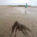 Harry runs off, Pints of Guinness and Streedagh Beach, Grange and Sligo, Ireland - 9th August 2021