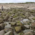 Fred in amongst the rockpools, Pints of Guinness and Streedagh Beach, Grange and Sligo, Ireland - 9th August 2021