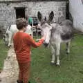 The donkeys are back in the yard, A Trip to Noddy's, and Dublin City Centre, Wicklow and Dublin, Ireland - 16th August 2021