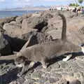 The resident grey cat at Playa Chica, Five Days in Lanzarote, Canary Islands, Spain - 24th October 2021