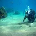 Fred pokes at the sea bed, The Volcanoes of Lanzarote, Canary Islands, Spain - 27th October 2021