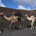 Another camel group comes in, The Volcanoes of Lanzarote, Canary Islands, Spain - 27th October 2021