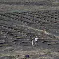Semi-circle walls where vines are grown, The Volcanoes of Lanzarote, Canary Islands, Spain - 27th October 2021