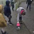 A dog with a pink jacket on trots past, A Return to Thornham Walks, Thornham, Suffolk - 19th December 2021