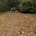 A carpet of leaves, A Return to Thornham Walks, Thornham, Suffolk - 19th December 2021