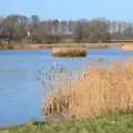 The lake by the hall, A Visit to Blickling Hall, Aylsham, Norfolk - 9th January 2022