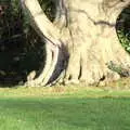 Harry's found a really good hiding place, A Visit to Blickling Hall, Aylsham, Norfolk - 9th January 2022