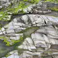 Interesting rocks and green algae, Greencastle, Doagh and Malin Head, County Donegal, Ireland - 19th April 2022