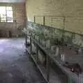 Bottles lined up on a shelf, A 1940s Timewarp, Site 4, Bungay Airfield, Flixton, Suffolk - 9th June 2022