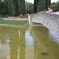 Harry's watching the terrapins in the park again, A Day by the Pool and a Festival Rehearsal, Arezzo, Italy - 3rd September 2022