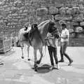 A jousting horse clops around on Via Colcitrone, A Day by the Pool and a Festival Rehearsal, Arezzo, Italy - 3rd September 2022