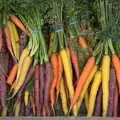 A stall has multi-coloured carrots for sale, The Aldeburgh Food Festival, Snape Maltings, Suffolk - 25th September 2022