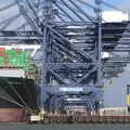 A tangle of grey dock cranes, A Postcard from Felixstowe, Suffolk - 5th October 2022