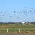 A load of birds take to the air over the river, Harry's Scout Hike, Walberswick and Dunwich, Suffolk - 9th October 2022