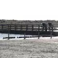 The bridge to the beach is almost underwater, Harry's Scout Hike, Walberswick and Dunwich, Suffolk - 9th October 2022