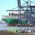 The Ever Ace is loaded and unloaded, A Trip to Landguard Fort, Felixstowe, Suffolk - 16th October 2022