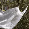 There's a cool ghoul in a bush, A Few Hours at Alton Water, Stutton, Suffolk - 22nd October 2022