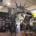 The skeleton of a giant Irish deer, The Dead Zoo, Dublin, Ireland - 17th February 2023
