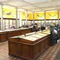 Insect specimens in cases, The Dead Zoo, Dublin, Ireland - 17th February 2023