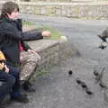 Starlings jump up for a bit of biscuit, The End of the Breffni, Blackrock, Dublin - 18th February 2023