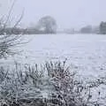 The side field is all snowy, Guys, Dolls, and a Snow Day, Brome, Suffolk - 11th March 2023