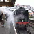 92203 Black Prince shunts back to switch tracks, A Coronation Camping Picnic, Kelling Heath, Norfolk - 6th May 2023