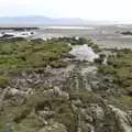 A view over the craggy rocks, A Day in Blackrock North, County Louth, Ireland - 7th October 2023