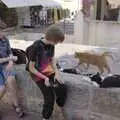 The boys find more cats to interact with, The Cats of Rhodes, Ρόδος, Greece - 24th October 2023