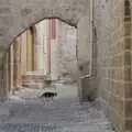 Another cat roams the streets of Rhodes, The Cats of Rhodes, Ρόδος, Greece - 24th October 2023